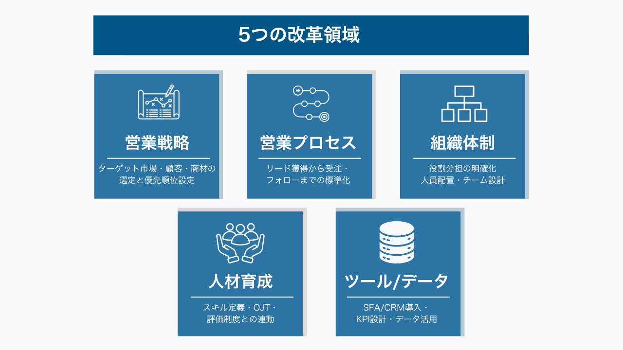 5つの改革領域